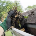Colbert Roofing The Top 5 Gutter Cleaning Tips